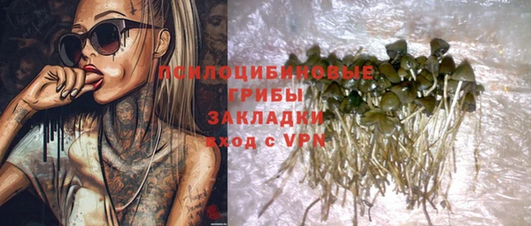 apvp Заводоуковск