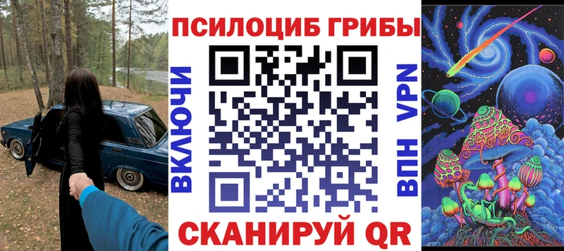 Псилоцибиновые грибы MAGIC MUSHROOMS  Купить закладки  Моздок 